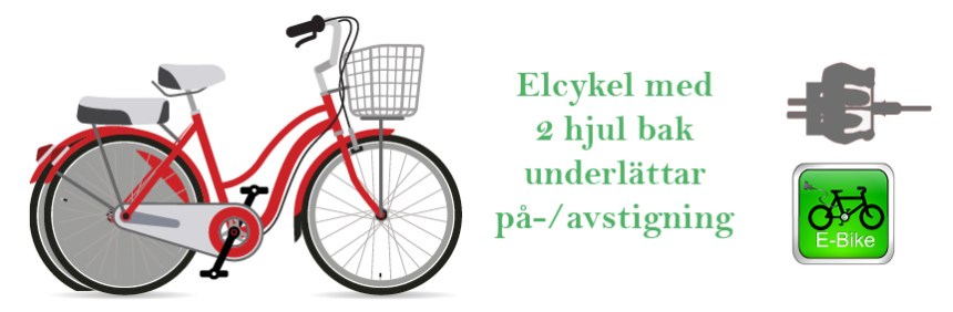 Streamer S Eco bike senior result